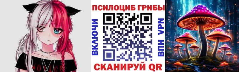 Псилоцибиновые грибы прущие грибы  Купить закладки  Елизаветинская 