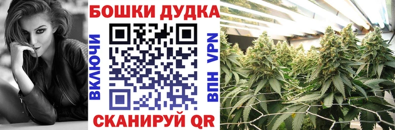 Купить где  Елизаветинская  Каннабис ГИДРОПОН 